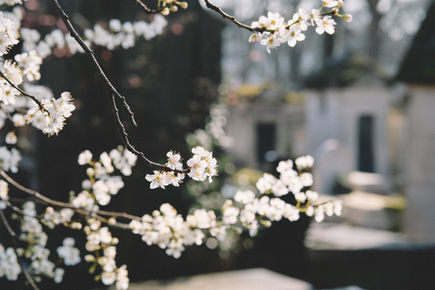 Reflections on Simple Living