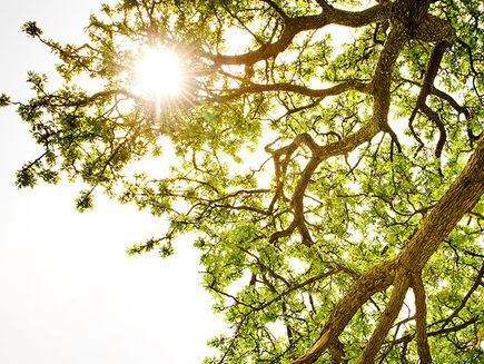 Spiritual Resilience