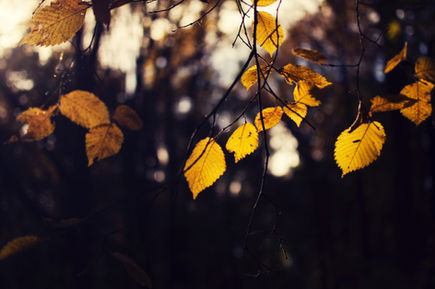When Seasons bring Hope